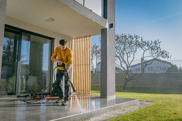 Best Pre-Holiday Cleaning  in Lahaina, HI